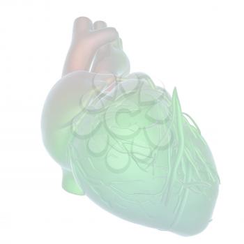 Abstract illustration of anatomical human heart. 3d render