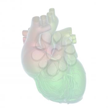 Abstract illustration of anatomical human heart. 3d render