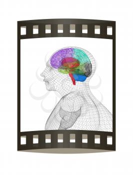 Wire human head  model with brain. 3d render. Film strip.