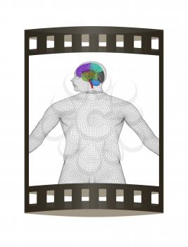 Wire human model with brain. 3d render. Film strip.
