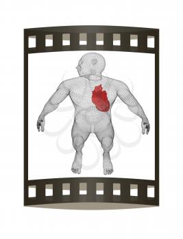 Human Internal Organic - Human Heart, medical concept. 3d render. Film strip.