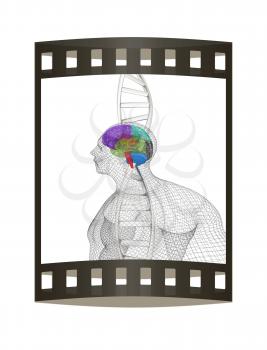 3D medical background with human, brain and DNA strands. 3d render. Film strip.