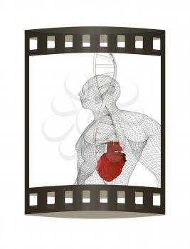 3D medical background with DNA strands and Heart in human. 3d render. Film strip.