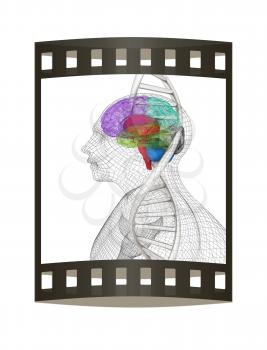 3D medical background with human, brain and DNA strands. 3d render. Film strip.