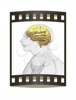Wire human head  model with gold brain. 3d render. Film strip.