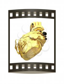 Golden anatomical heart. 3d render. Film strip.