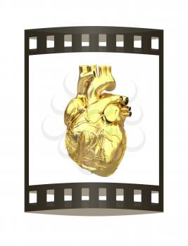Golden anatomical heart. 3d render. Film strip.