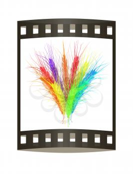 Colorful spikelets design. 3d render. Film strip.