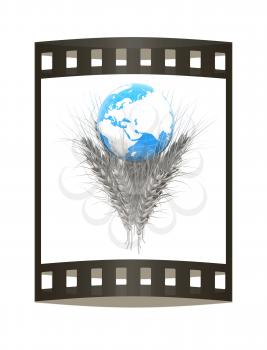Metal ears of wheat and Earth. Symbol that depicts prosperity, wealth and abundance. 3d render. Film strip.