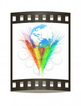 Colorfull ears of wheat and Earth. Symbol that depicts prosperity, wealth and abundance.. Film strip.