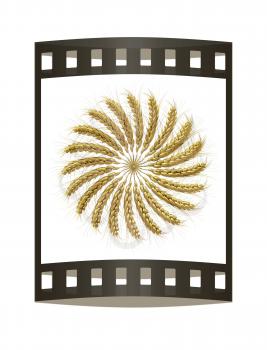 3D illustration of a golden wreath made of wheat spikelets. Design element. 3d render. Film strip.