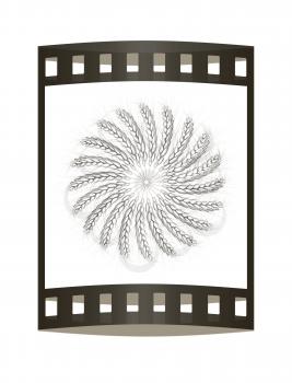 3D illustration of a metal wreath made of wheat spikelets. Design element. 3d render. Film strip.