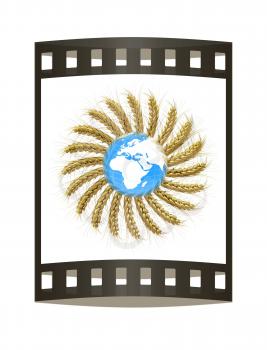 3D illustration of a golden wreath made of wheat spikelets with Earth. Design element. 3d render. Film strip.