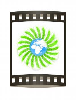 3D illustration of a green wreath made of wheat spikelets and Earth. Design element. 3d render. Film strip.