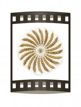3D illustration of a golden wreath made of wheat spikelets. Design element. 3d render. Film strip.