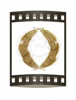 Wheat ears logo. Mock up for you design. 3d render. Film strip.