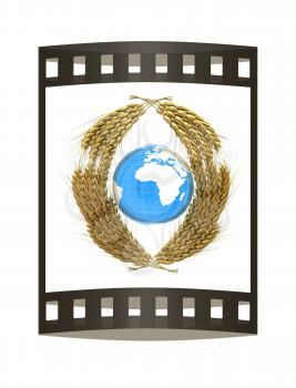 Wheat ears logo design with Earth. 3d render. Film strip.