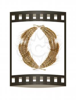 Wheat ears logo. Mock up for you design. 3d render. Film strip.