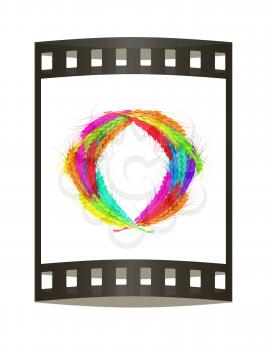 Colored Wheat ears logo. Mock up for you design. 3d render. Film strip.
