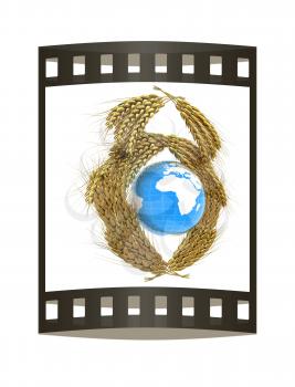 Wheat ears logo design with Earth. 3d render. Film strip.
