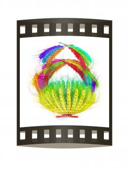 A colorful basket of wheat for Easter or Thanksgiving. 3d render. Film strip.