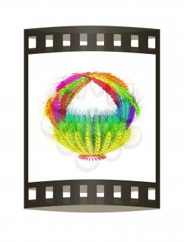 Colored basket of the ears of wheat. 3d render. Film strip.