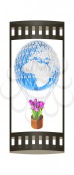 Hot Air Balloon of Earth and tulips in a basket. 3d render