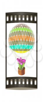 Hot Colored Air Balloon and tulips in a basket. 3d render