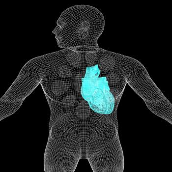 Human Internal Organic - Human Heart, medical concept. 3d render. On a black background.