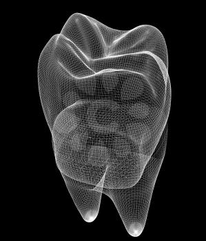 Mesh model of tooth. 3d illustration. On a black background.