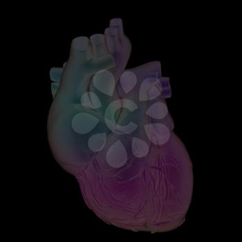 Abstract illustration of anatomical human heart. 3d render. On a black background.