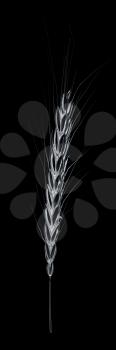 Metall spikelet. 3d render. On a black background.