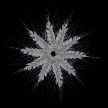 Metall spikelet. Top view. 3d render. On a black background.