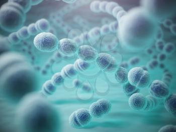 Streptococcus pneumoniae or pneumococcus bacterias. 3d illustration