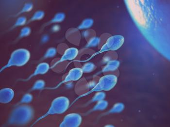 Sperm and egg cell on microscope.  Scientific background. 3d illustration