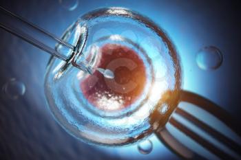 Artificial insemination. Fertilization of human egg cell by sperm. IVF in vitro fertilization. 3d illustration