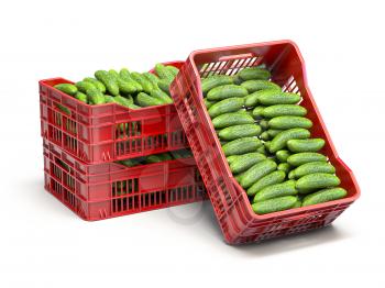 Cucumbers in plastic crates isolated on white. 3d illustration