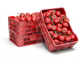 Tomatoes in plastic crates isolated on white. 3d illustration