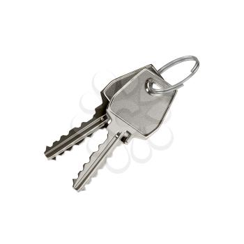 Two keys on a ring on grey background.  Photo-realistic illustration.