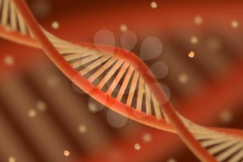 DNA chain macroshot. Highly detailed. Red key. Scientific background or medical backdrop. Great for poster, book cover, flyer or folder. 3D illustration