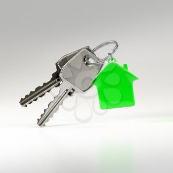 Two keys on a ring with a green plastic house chain. Photo-realistic. 3D illustration.