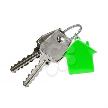 Two keys on a ring with a green plastic house chain. Photo-realistic. 3D illustration.