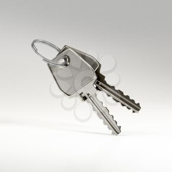 Two keys on a ring on grey background. Photo-realistic illustration.