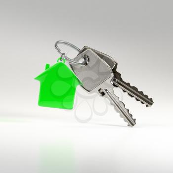 Two keys on a ring with a green plastic house chain. Photo-realistic illustration.
