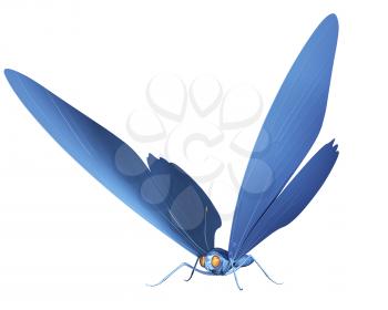 Blue butterfly. Isolated on white