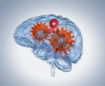 Glass human brain with gears inside. Clipping path included