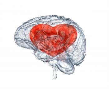 Glass human brain with heart within. Clipping path included