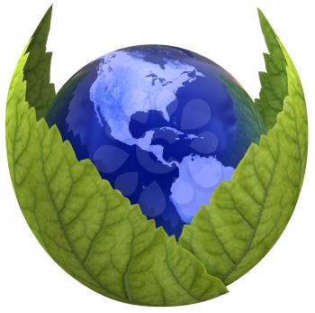 Globe inside green leafs
