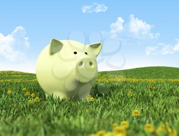 Piggy bank on the green grass
