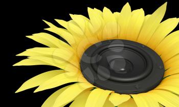 Sunflower - loudspeaker